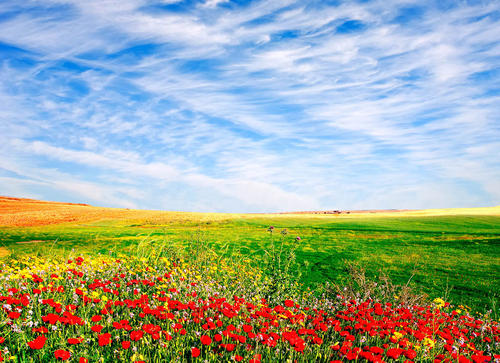 2025爱情喜剧《非标准恋爱》1080p.HD国语中字